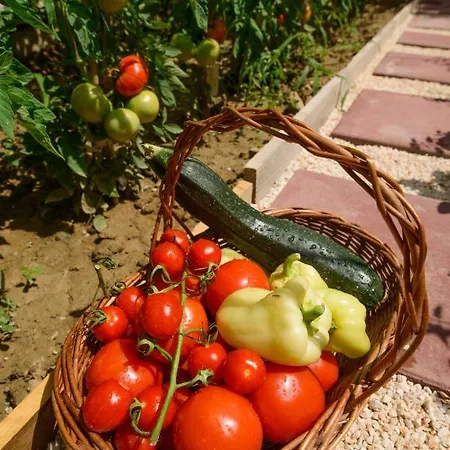 Arky Apartment Podstrana