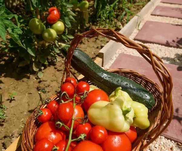 Arky Апартаменты Подстрана