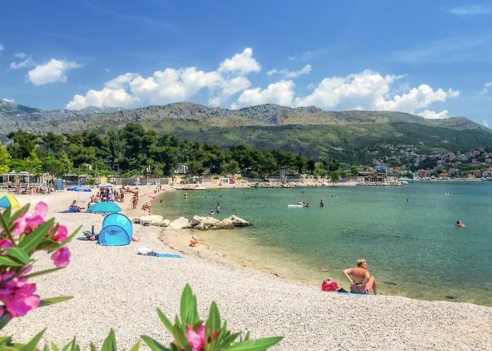 Arky Подстрана